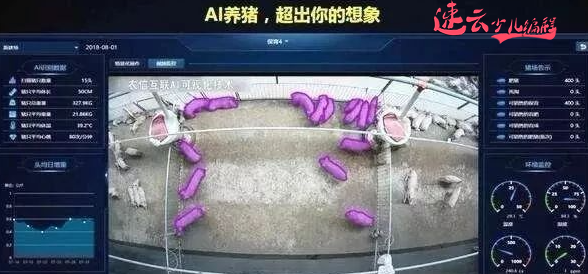 山东少儿编程：未来十年，一多半的工作都将会被“人工智能”所取代，我们的孩子该怎么办？~济南少儿编程~少儿编程(图2)