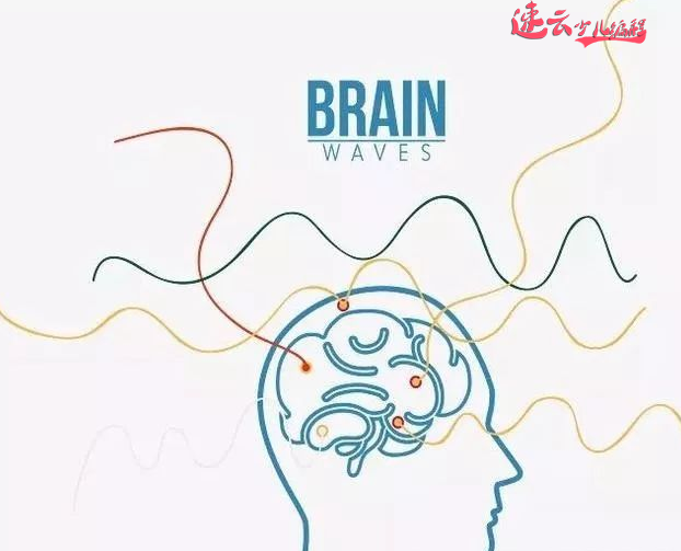 光明日报报道：编程教育已成低龄化，是科技发展必然趋势！~济南少儿编程~山东少儿编程~少儿编程(图3)