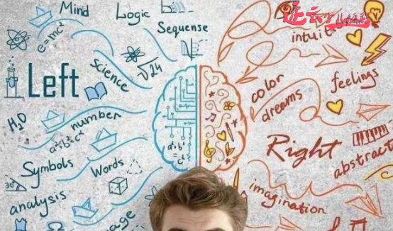 山东少儿编程：孩子学习编程不仅仅是给孩子增加技能！(图4)