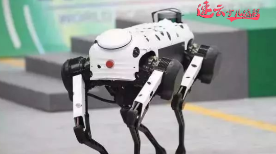 济南机器人编程：从2019世界机器人大会上看编程教育！~山东机器人编程~机器人编程(图2)