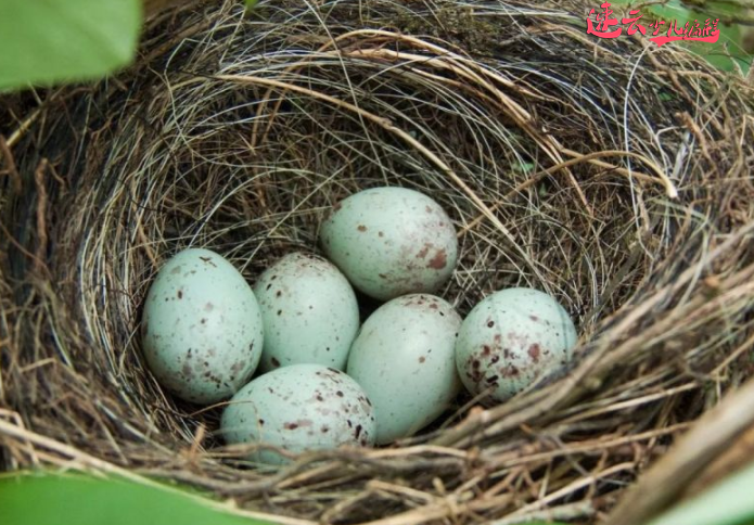 山东机器人编程培训:怎么给孩子进行编程教育?~济南机器人编程培训~机器人编程培训(图2) 山东机器人编程培训:怎么给孩子进行编程教育?~济南机器人编程培训~机器人编程培训(图2)